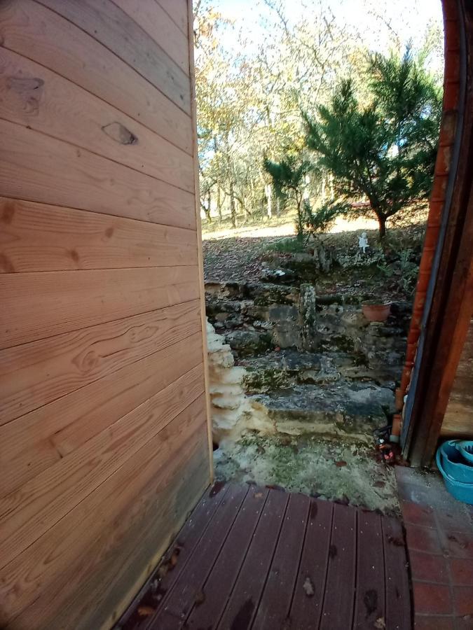 Maison Dans Un Ecrin De Verdure Сан-Леон-сюр-Вежер Екстериор снимка
