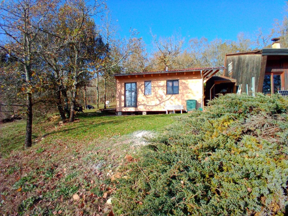 Maison Dans Un Ecrin De Verdure Сан-Леон-сюр-Вежер Екстериор снимка